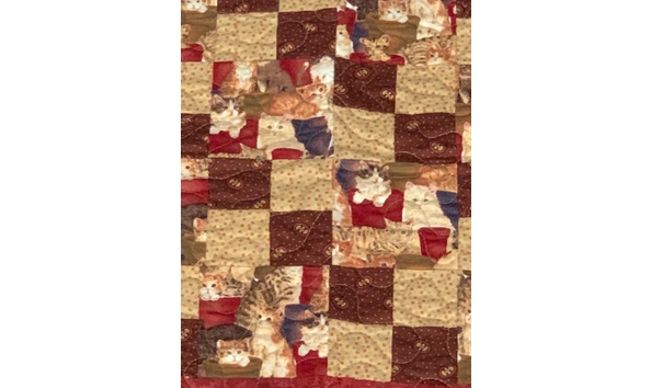 Big image 1272766c e20d 43f5 85e8 0cc4a3745e40