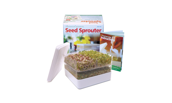 Big image mini magick20200414 53079 1yaczd6