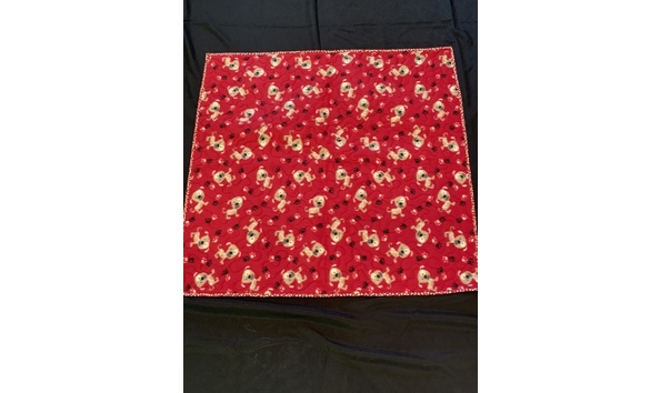 Big image e2b5047c 2146 41cf a3d2 7107ae853f38