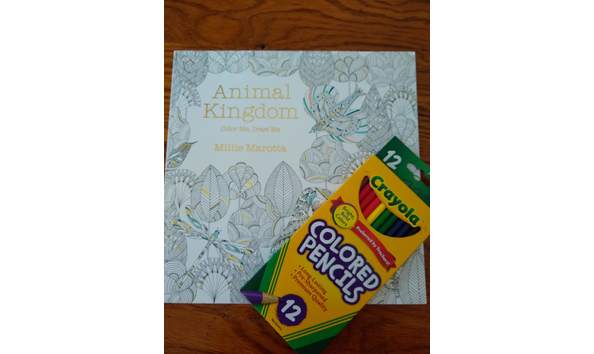 Big image img 20200416 144107063