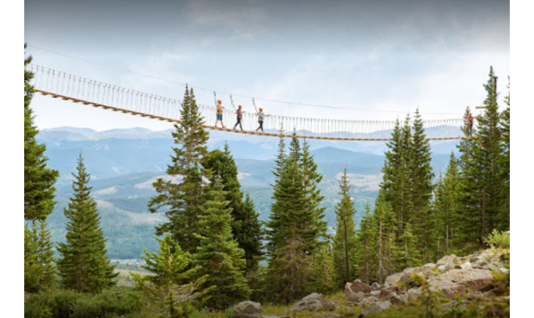 Big image mini magick20200419 40194 2ucirj