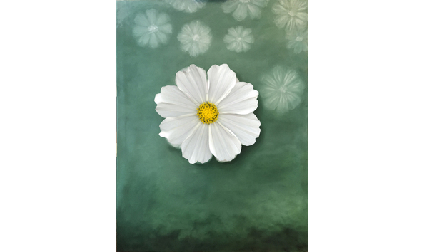 Big image flower whiteflower oil 30x40 2