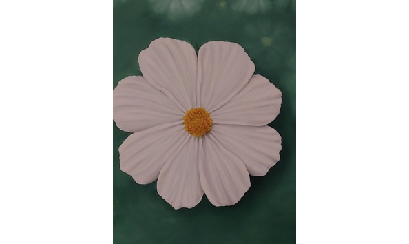 Big image 20200506 185907 resized