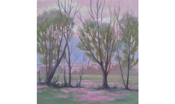 Big image susan gallagher pinkeveninglight 425