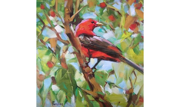 Big image cassandria parsons  vermillion fly catcher  200