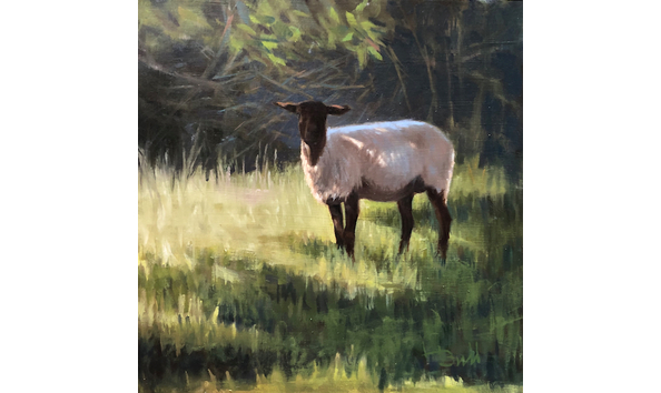 Big image linda budd donald s sheep 200