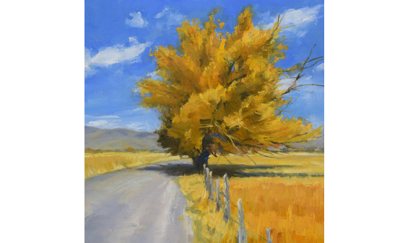 Big image karriebaldwin thiswaystudy