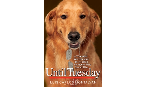 Big image until tuesday book cover