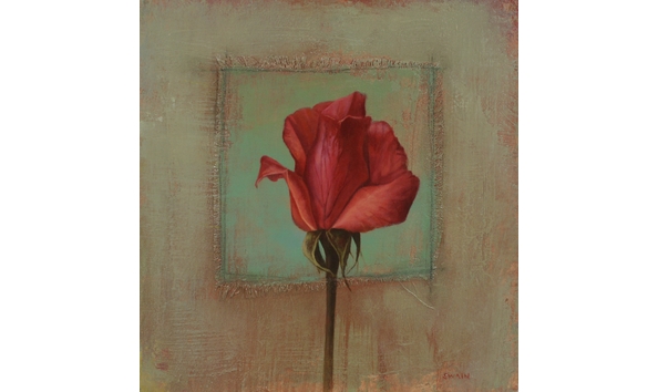 Big image tyler swain  st. francis   350