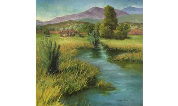 Big image pam newman midway meadow 100