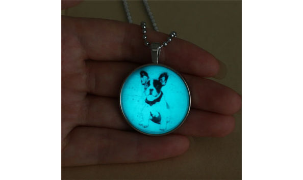 Big image glow in the dark puppy necklace 2