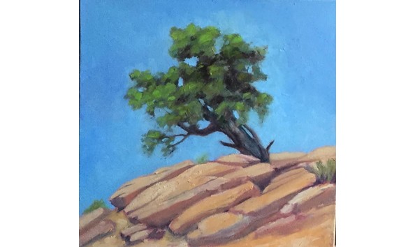 Big image sara straw   i ve seen this tree somewhere  100