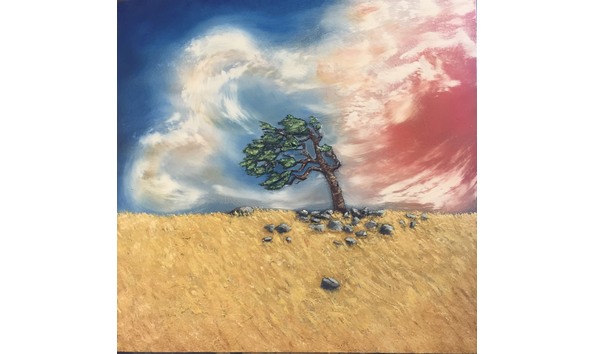 Big image saebra muller  steadfast   200