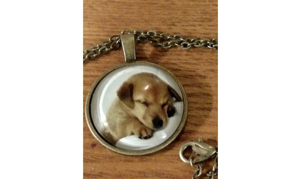 Big image puppy cabochon1