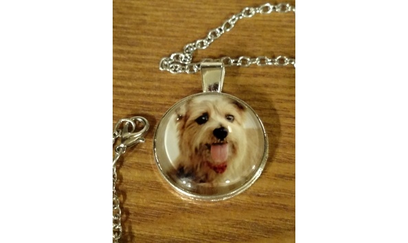 Big image terrier cabochon