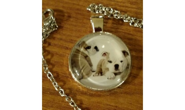 Big image bulldogs cabochon