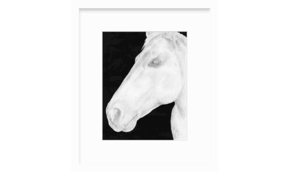 Big image screen shot 2020 05 27 at 1.26.55 pm