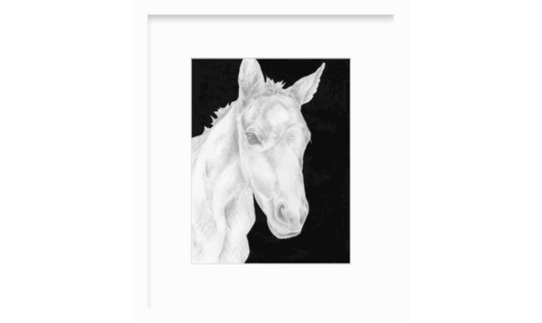 Big image screen shot 2020 05 27 at 1.32.04 pm