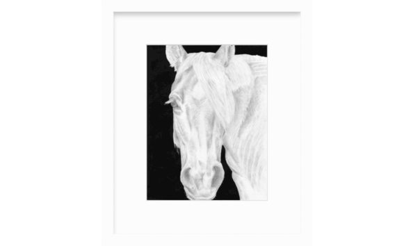 Big image screen shot 2020 05 27 at 1.46.51 pm