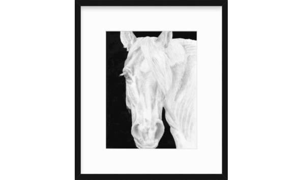 Big image screen shot 2020 05 27 at 1.47.37 pm