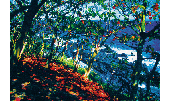 Big image 4cf5fc50 75e9 437c 91e4 f26666ecf396