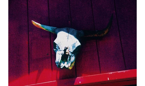 Big image 867bbfc8 89d1 45fa b768 30f2ba23852f