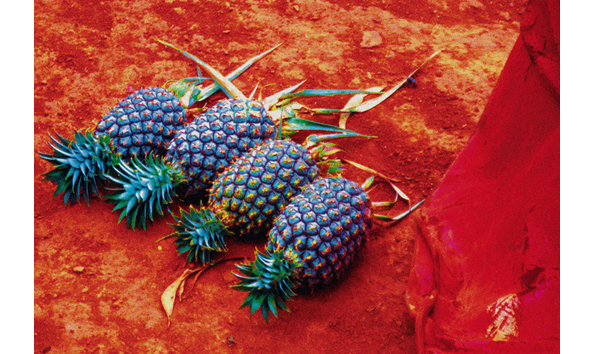 Big image 871ac1d3 4fd9 4d96 a299 5dcbb0975e5f