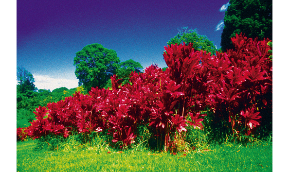 Big image a69b8c4f d3d6 49ba 936a 78b8756773bb