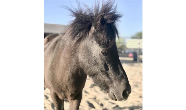 Big image 1 1 copy 2