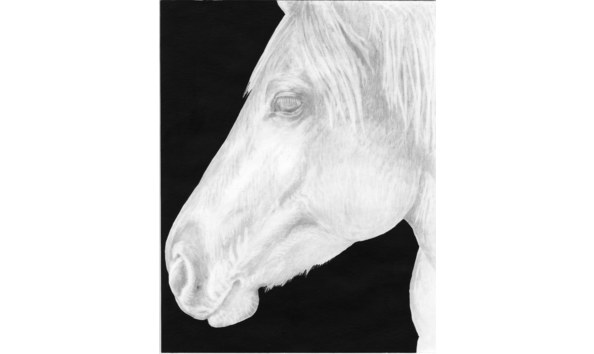 Big image spartan copy