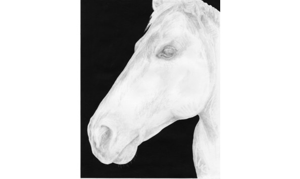 Big image jasmine copy