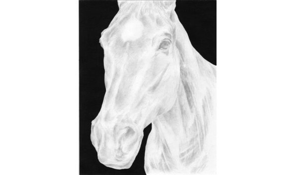 Big image nadia copy