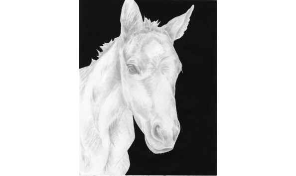 Big image nellie copy