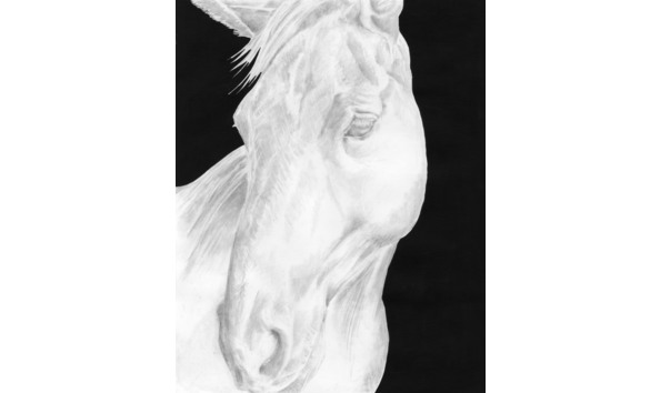 Big image neveah copy