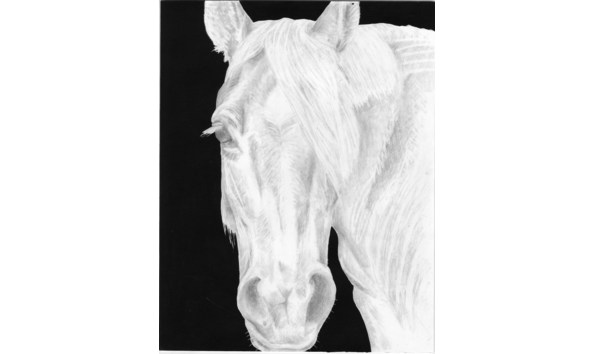 Big image misty copy