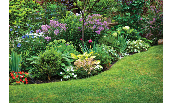 Big image home design