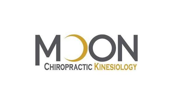 Big image download 3