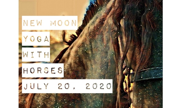 Big image d337f09d c5d9 4101 bc12 f593b191cd38