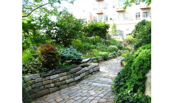 Big image amir garden