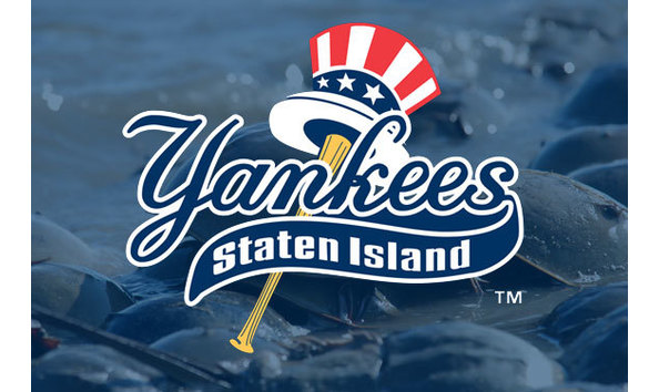 Big image si yanks header