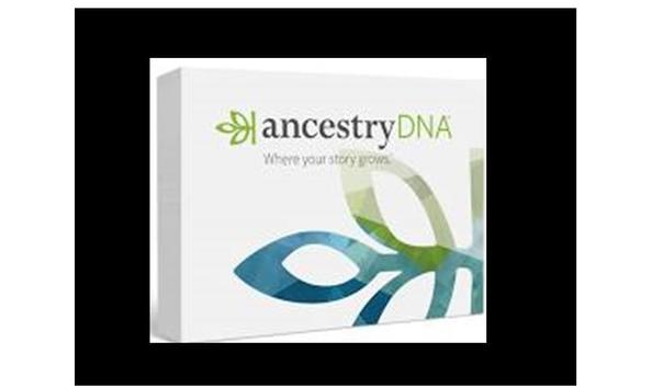 Big image dna box