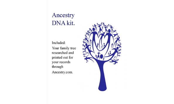 Big image ancestry dna kit