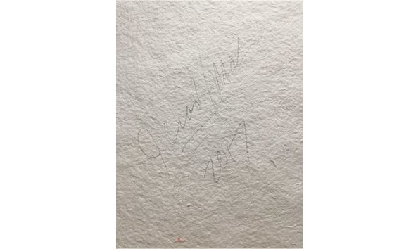 Big image crash back