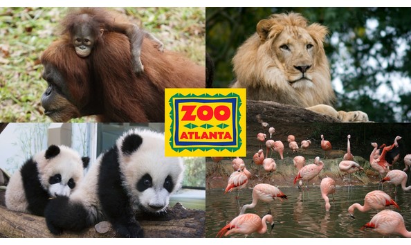 Big image zoo atlanta