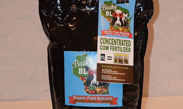 Big image bucky bloom c