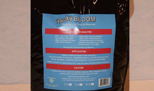 Big image bucky bloom b