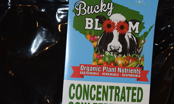 Big image bucky bloom a