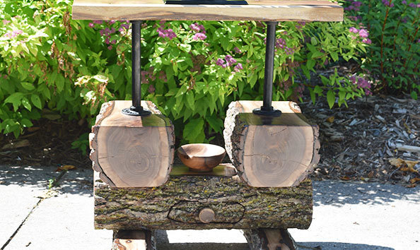 Big image family tree d