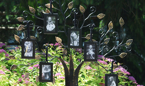 Big image family tree b