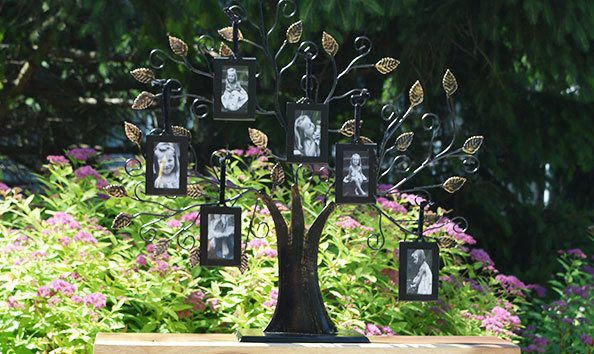 Big image family tree a